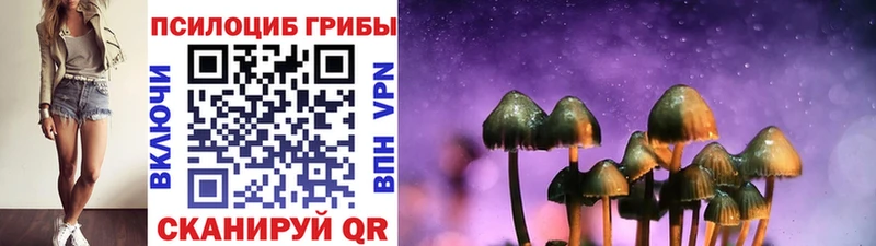 МЕГА как зайти  Звенигово  Псилоцибиновые грибы Magic Shrooms 