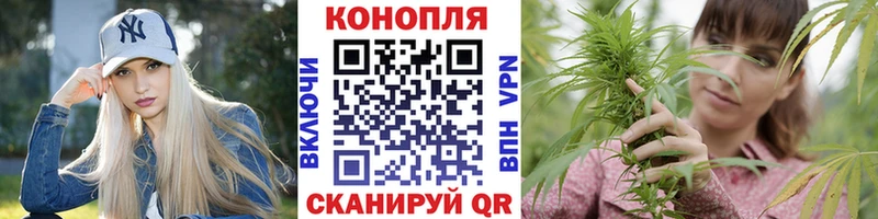 купить наркотик  Звенигово  Марихуана сатива 